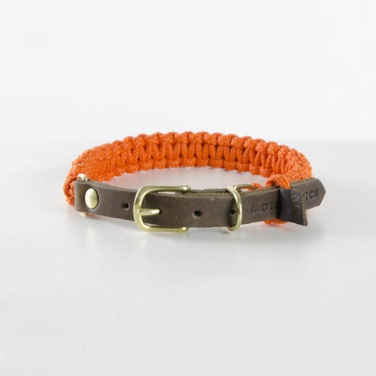 Collier en corde et cuir pour chien Touch of Leather orange boucle or - kasibe