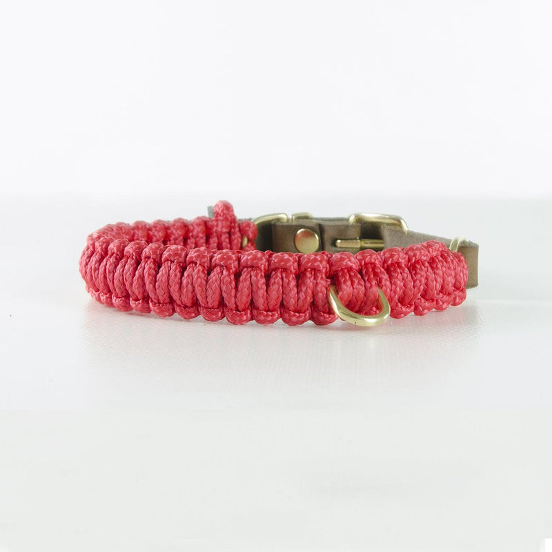 Collier en corde et cuir pour chien Touch of Leather rose boucle or - kasibe