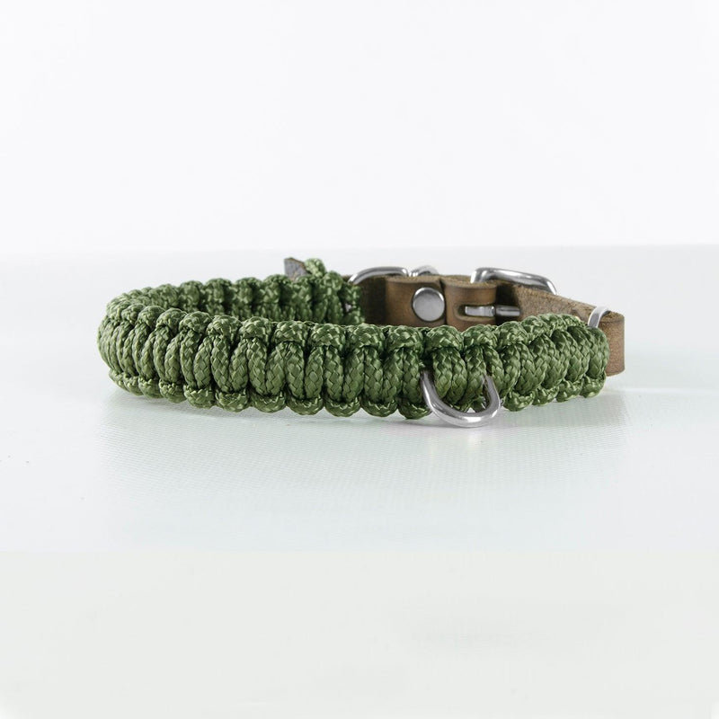 Collier en corde et cuir pour chien Touch of Leather vert boucle argent - kasibe