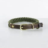 Collier en corde et cuir pour chien Touch of Leather vert boucle or - kasibe