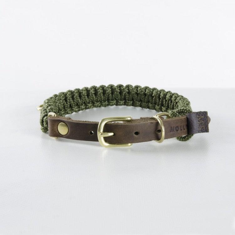Collier en corde et cuir pour chien Touch of Leather vert boucle or - kasibe