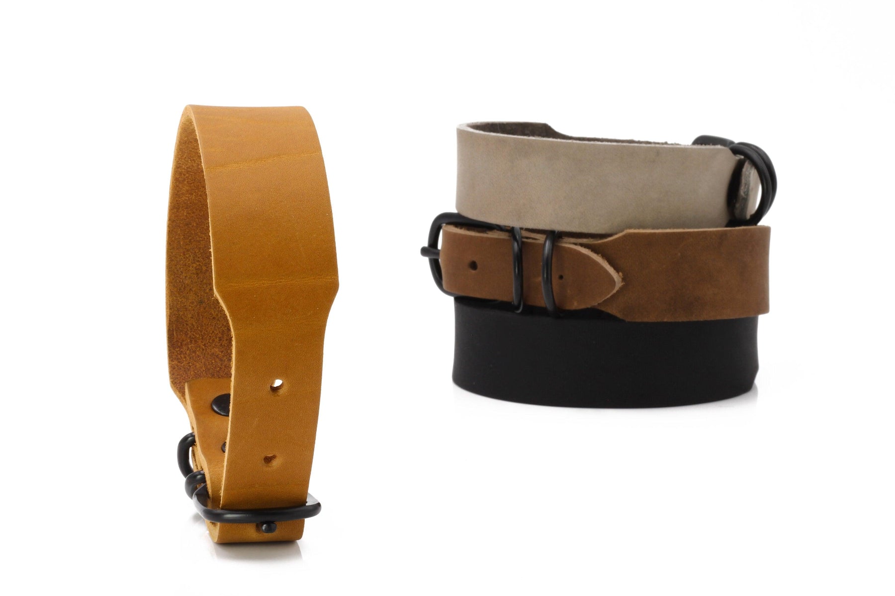 Collier pour chien élégant - GIRO - Kasibe