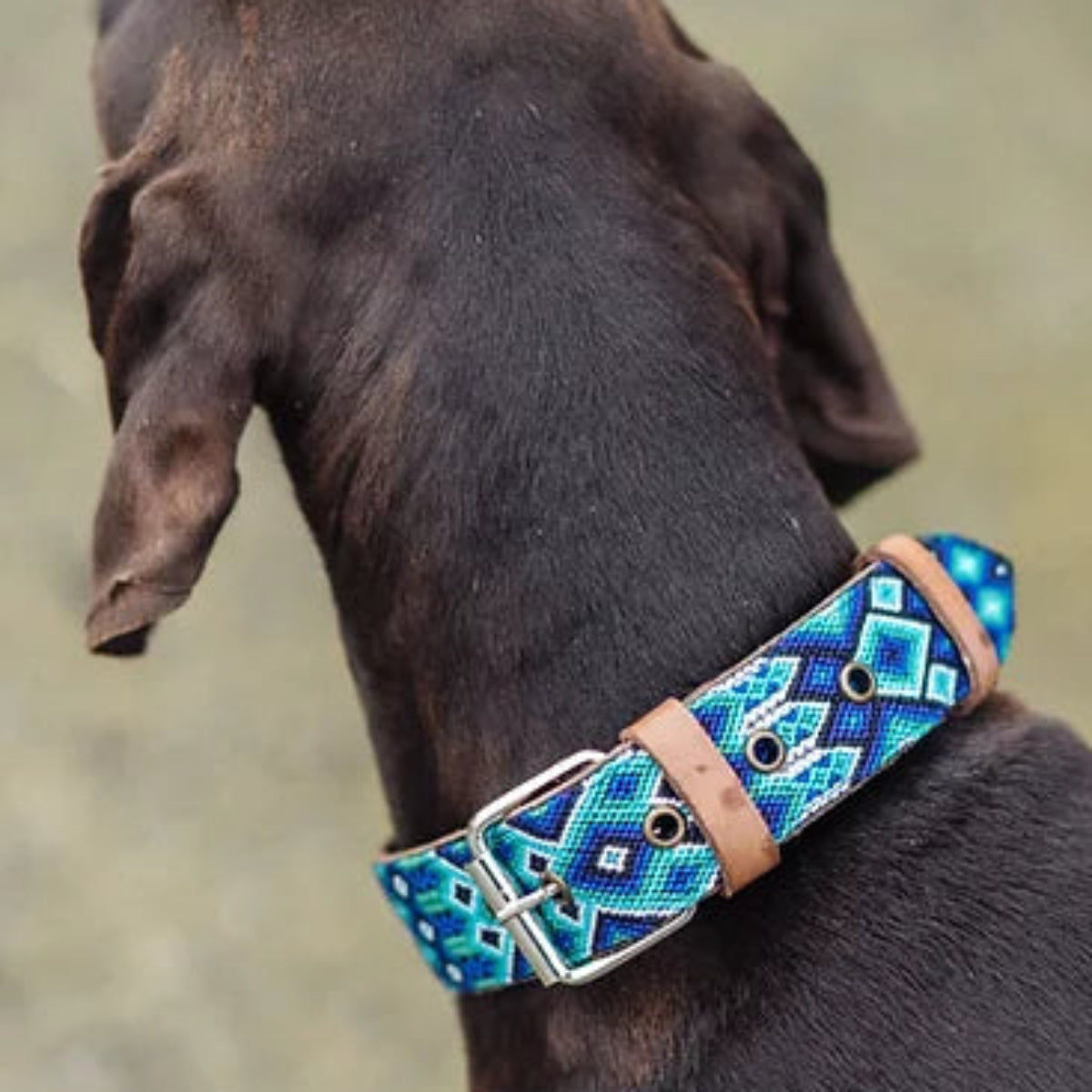 Collier pour chien mexicain, broderie complète montée sur cuir - Kasibe