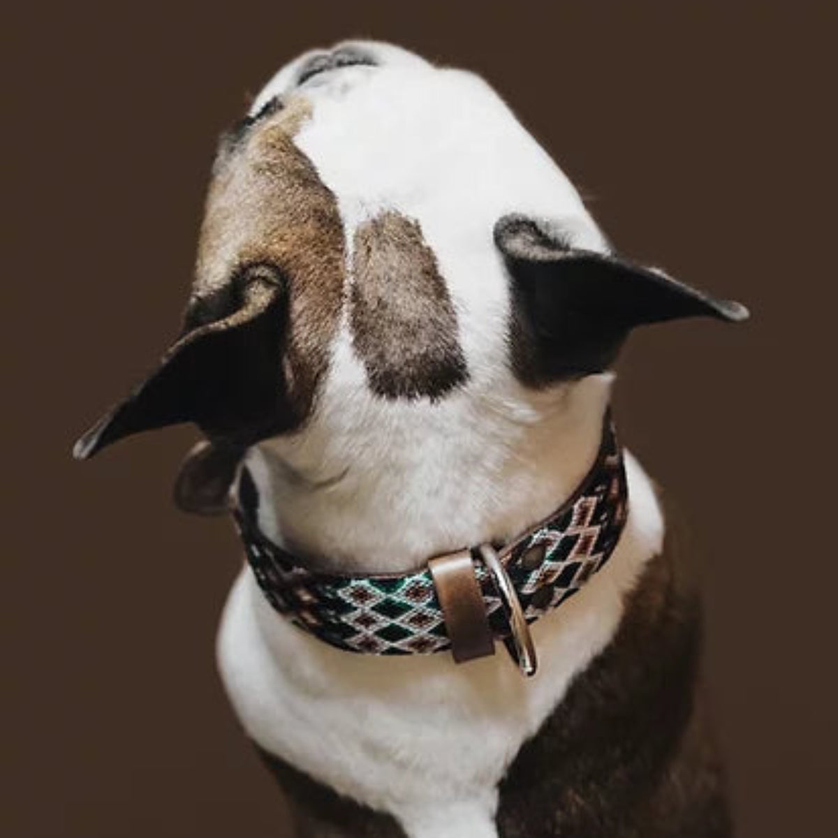 Collier pour chien mexicain, broderie complète montée sur cuir - Kasibe