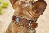 chien qui porte un collier avec décorations incrustées marron laboni