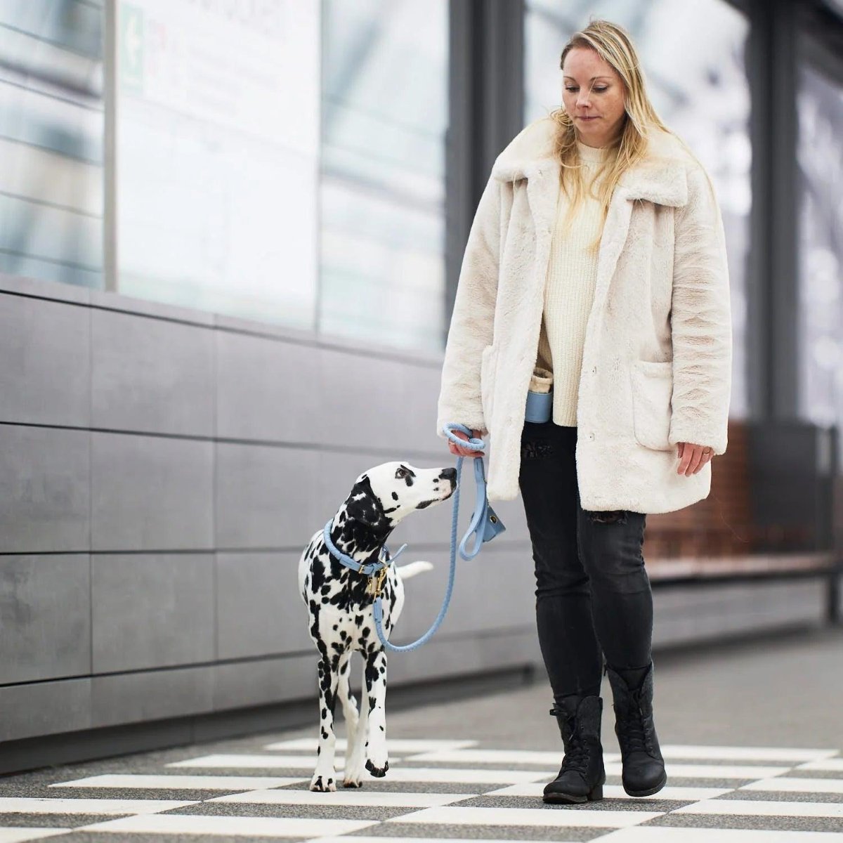 Gamme Twisted, des colliers tressés pour chien  - kasibe