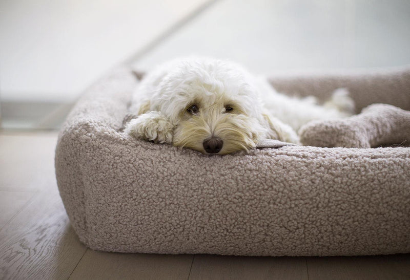 Couchage pour chien confortable, Senso et son tissu aux boucles douces - kasibe