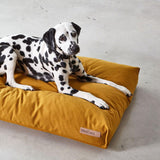 Coussin pour chien moelleux, entièrement déhoussable & lessivable Stella kasibe miacara safran