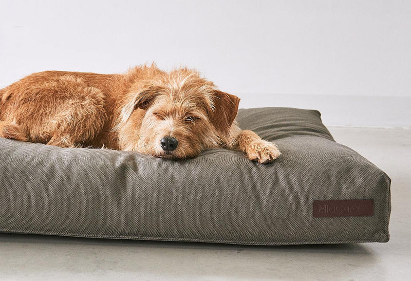 Mare, un coussin pour chien en fibre éco-conçue Seaqual kasibe miacara