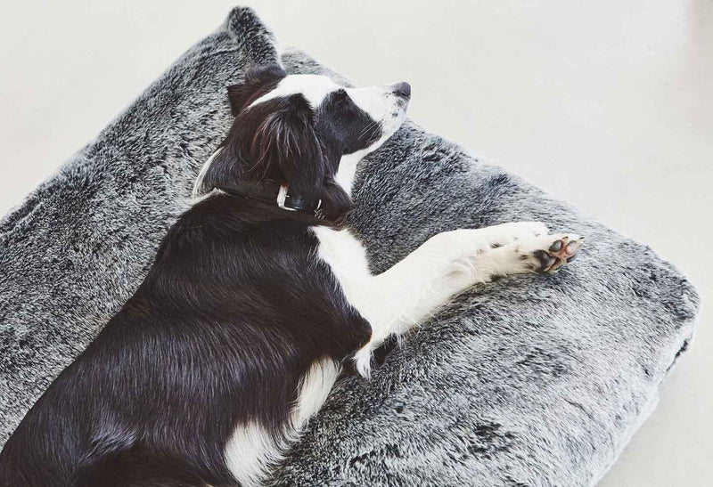 Coussin en fausse fourrure confortable et doux pour chien Felpa - kasibe