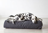 Coussin Lounge très épais pour chien Stella - Confort Extrême kasibe miacara 