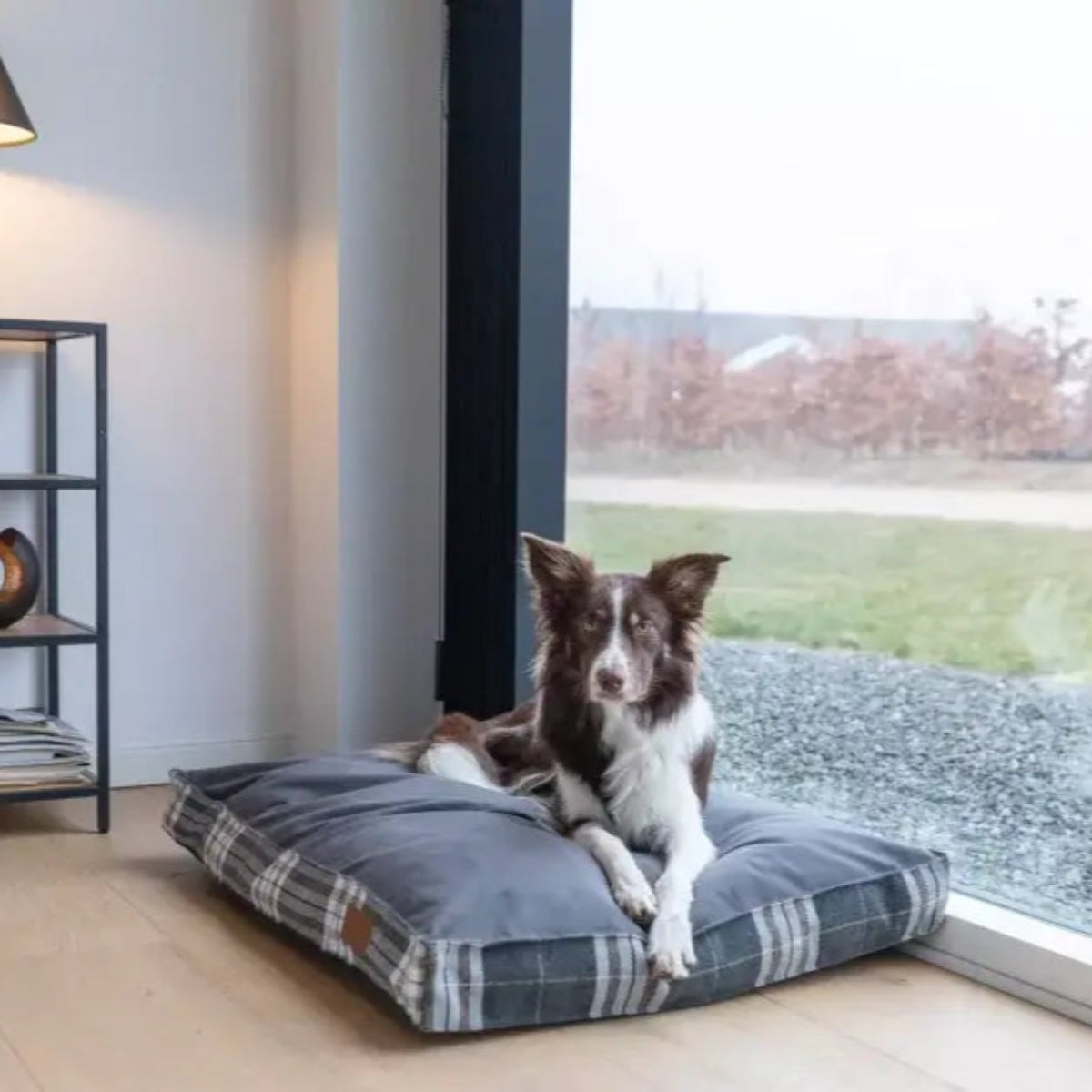 Coussin pour chien écossais - SCOTT - Kasibe
