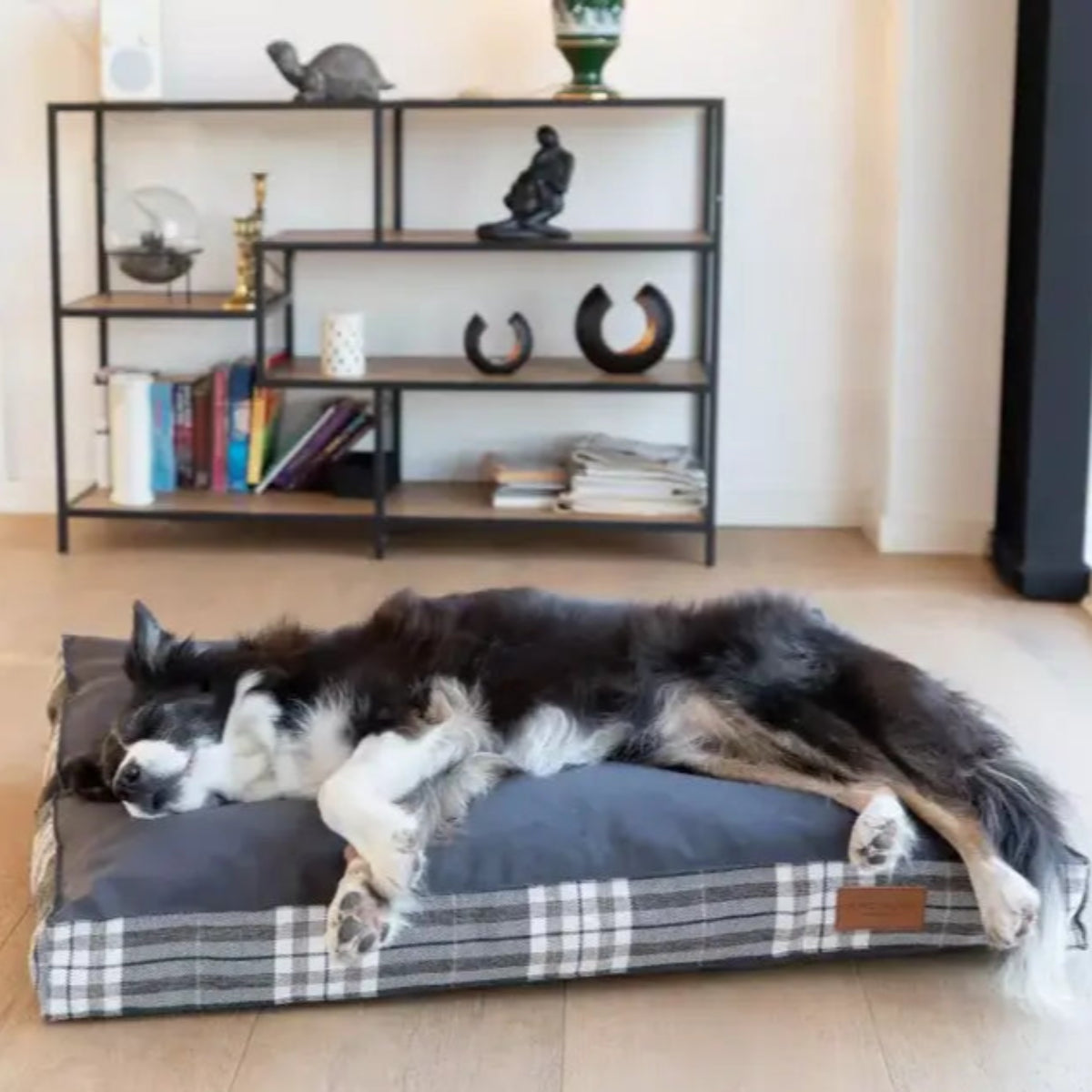 Coussin pour chien écossais - SCOTT - Kasibe