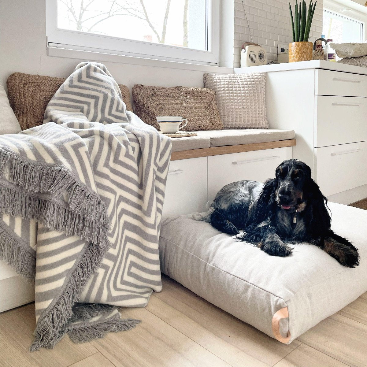 Coussin pour chien élégant - KIIMA - Kasibe