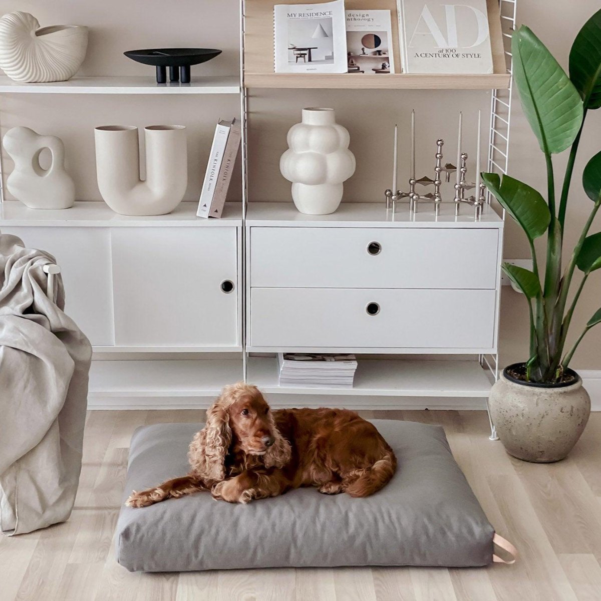 Coussin pour chien élégant - KIIMA - Kasibe