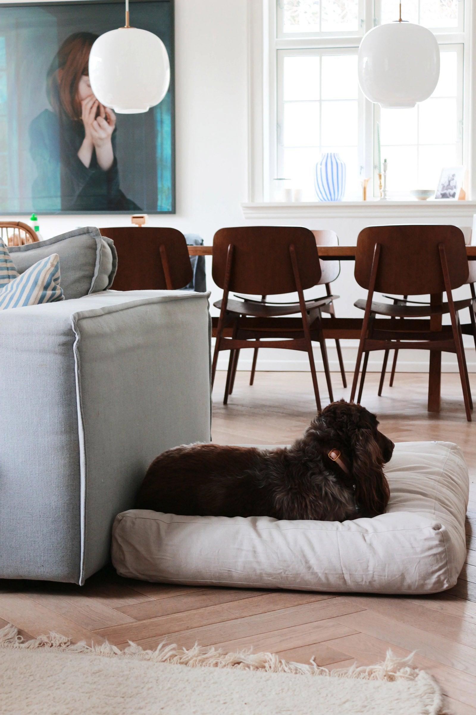 Coussin pour chien rectangulaire - TOBINE - Kasibe