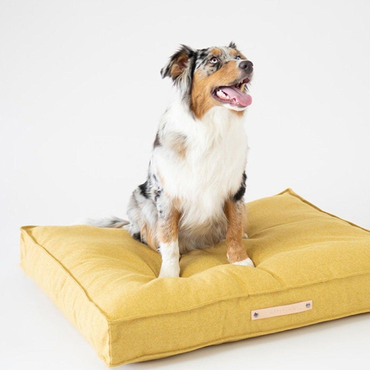Coussin rectangulaire pour chien - MOVIK - Kasibe