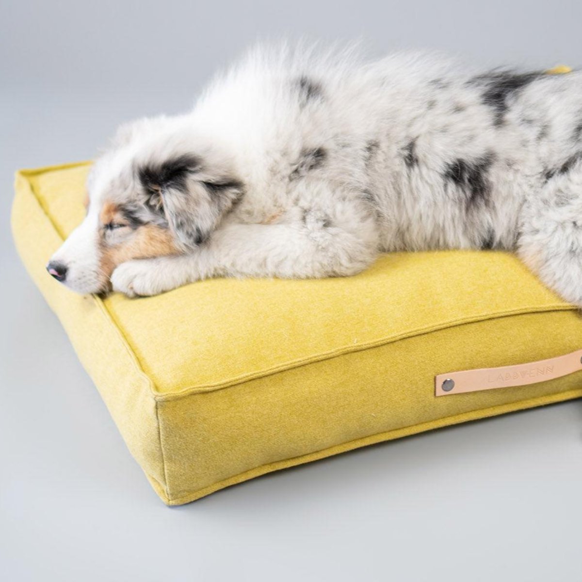 Coussin rectangulaire pour chien - MOVIK - Kasibe