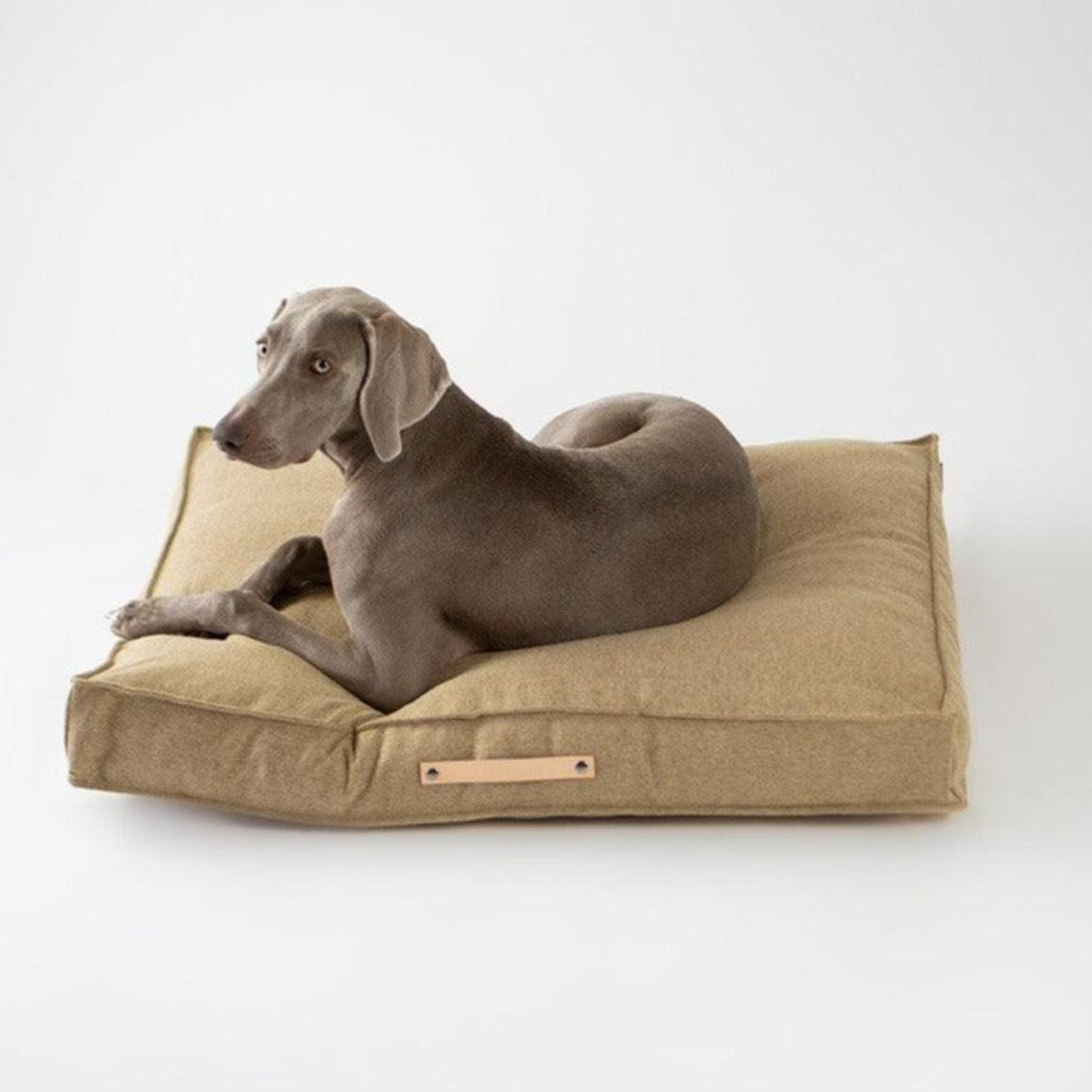 Coussin rectangulaire pour chien - MOVIK - Kasibe