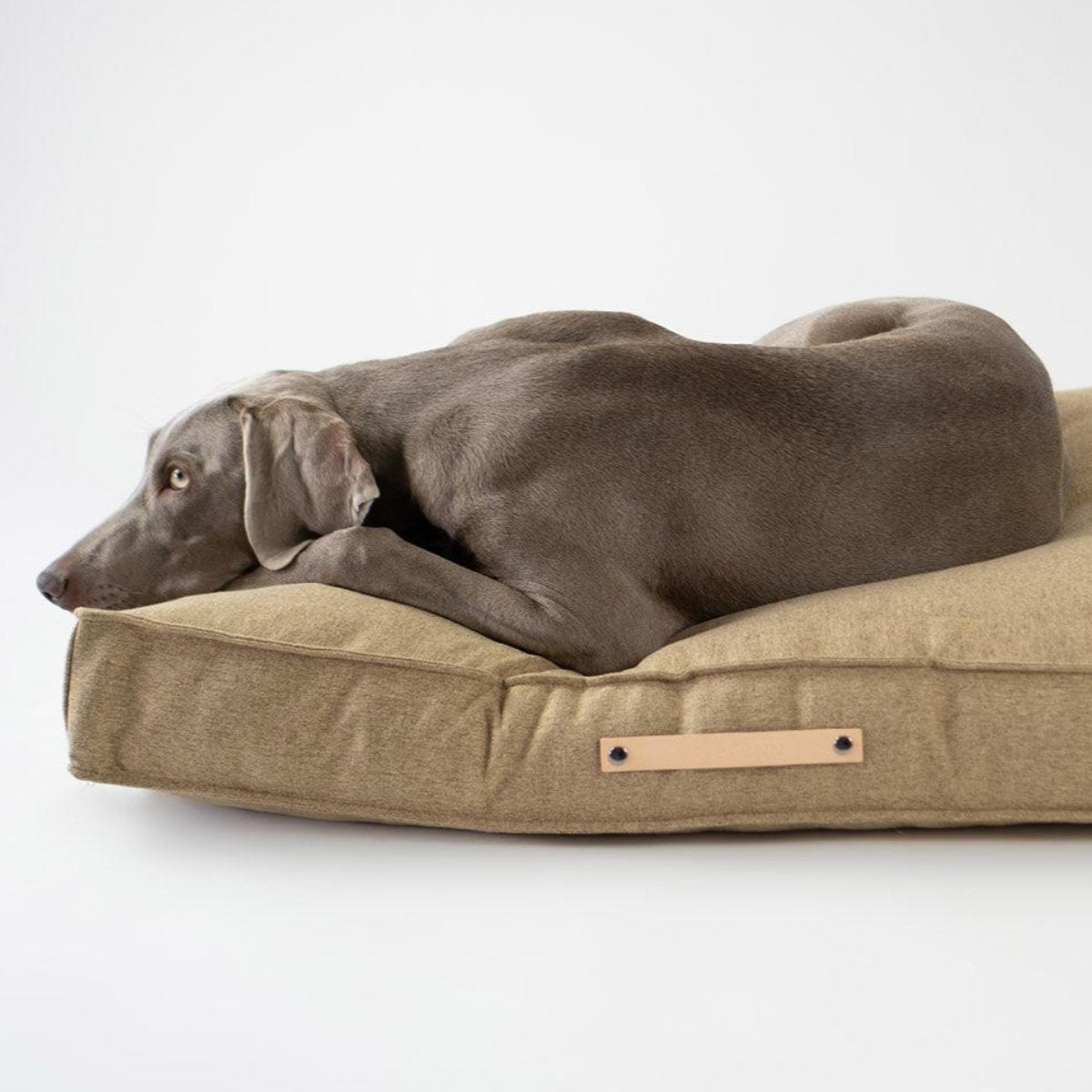 Coussin rectangulaire pour chien - MOVIK - Kasibe