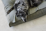 Coussin pour chien design en velours ultra doux Velluto kasibe miacara