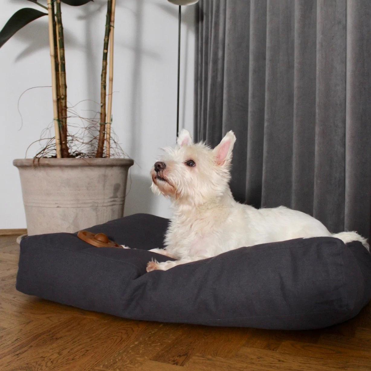 Tobine, un coussin pour chien rectangulaire en coton - kasibe