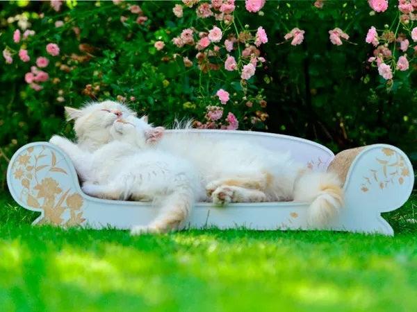 Vertige, un divan griffoir relax pour chat intemporel en carton chic et élégant- kasibe