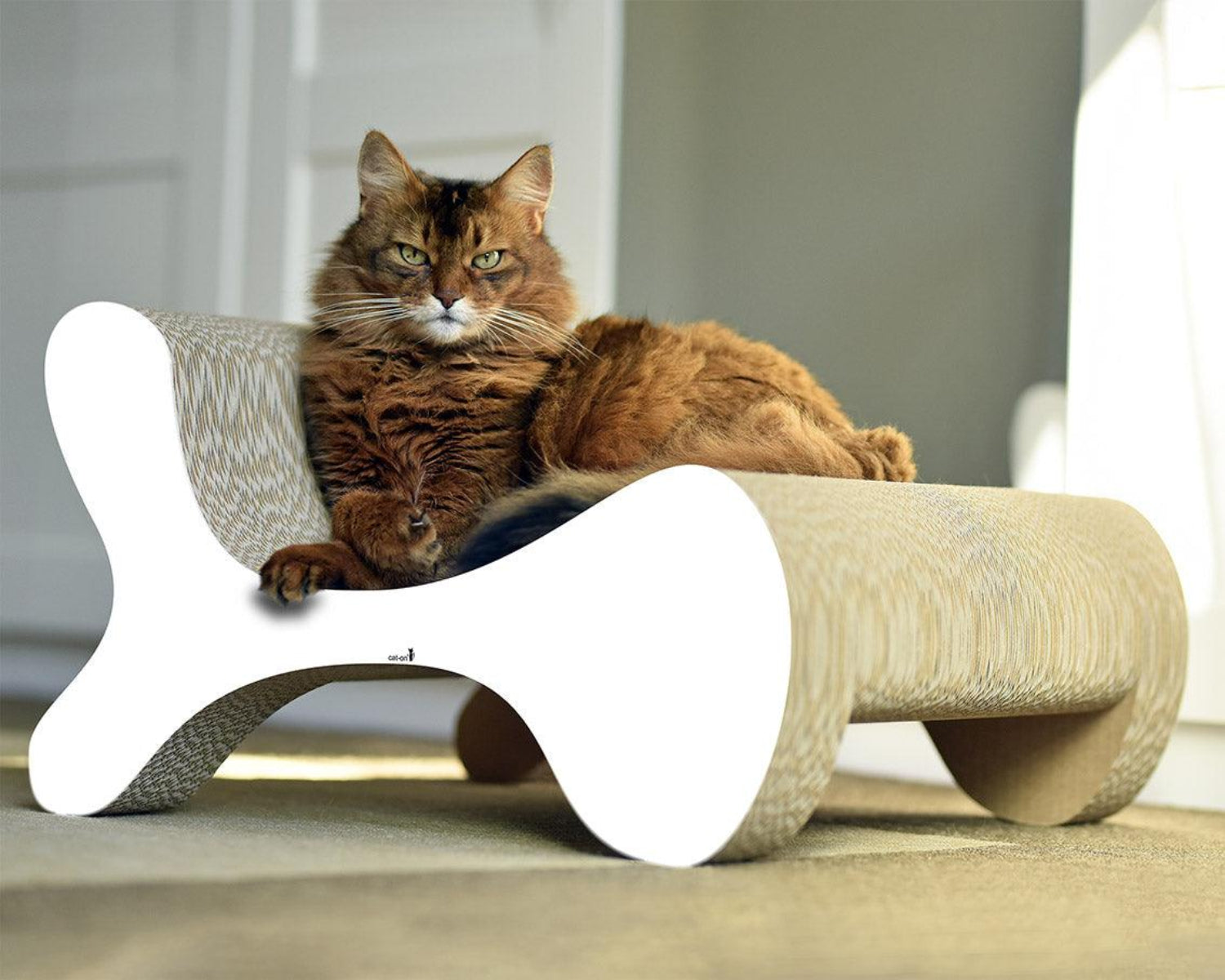 Fauteuil pour chat & griffoir : voici l'insolite Molecular Fauteuil en carton blanc - kasibe