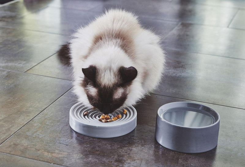 Gamelle pour chat anti-glouton en porcelaine brillante Piatto kasibe
