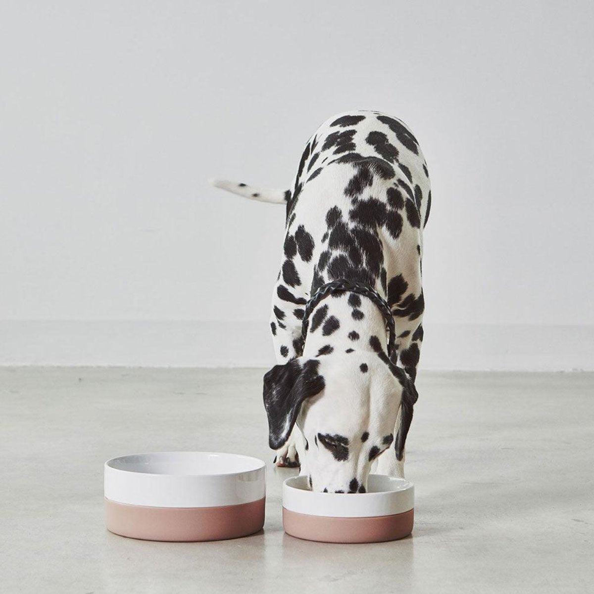 Gamelle pour chien en porcelaine et silicone Coppa kasibe miacara coppa rose petite et grande