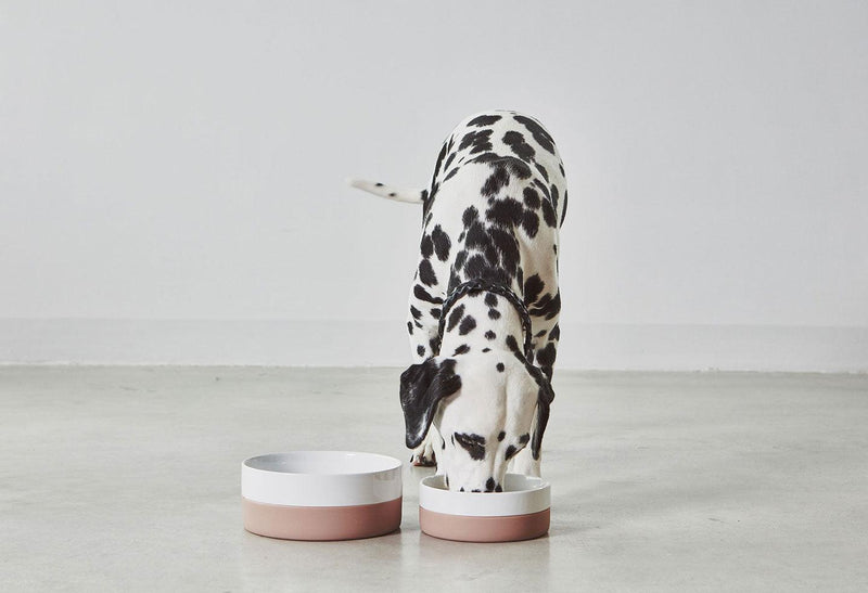 Gamelle pour chien en porcelaine et silicone Coppa kasibe miacara coppa rose petite et grande