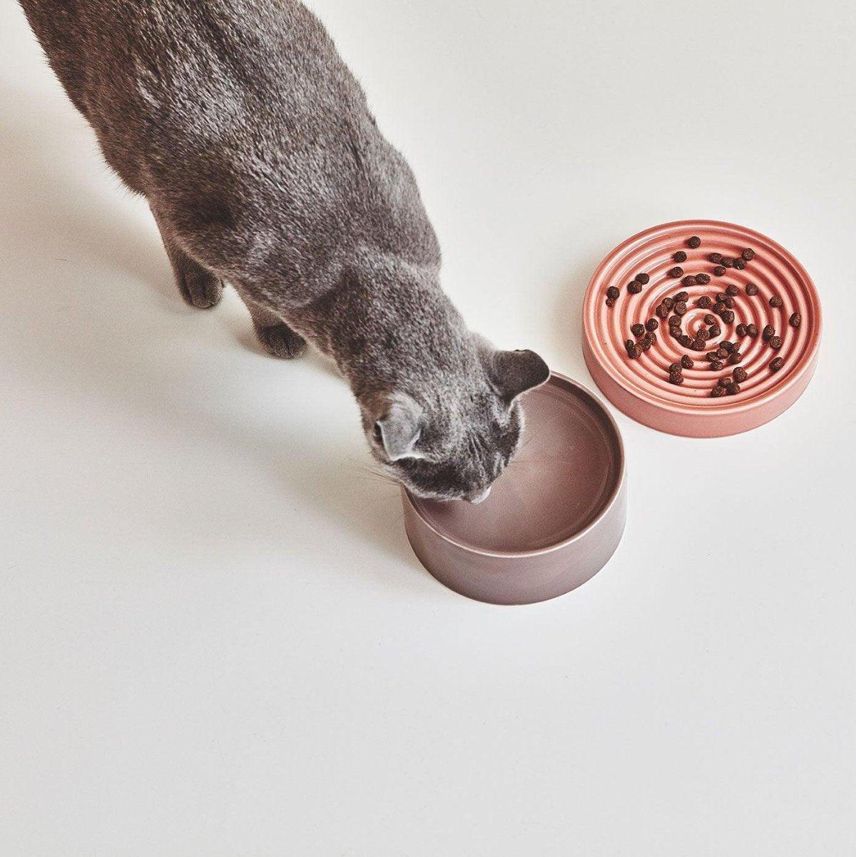 Gamelle pour chat anti glouton - PIATTO - Kasibe