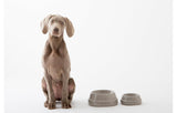 Gamelle colorée pour chien en céramique Sebastiao marron - Kasibe