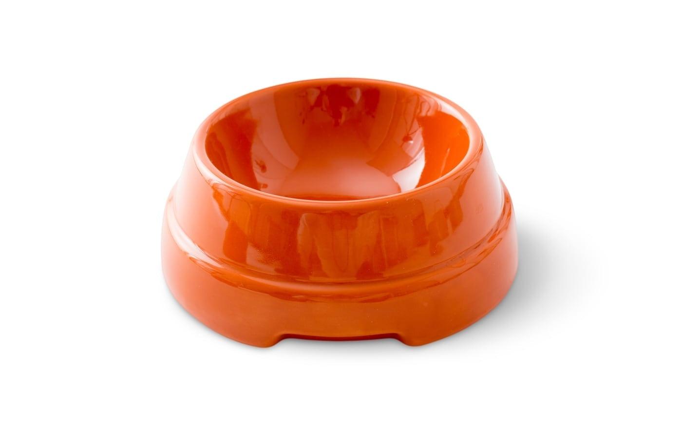 Gamelle colorée pour chien en céramique Sebastiao orange - Kasibe