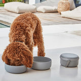 Gamelle de voyage pour chien Bento - kasibe