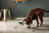 Gamelle surélevée pour chien en métal - Structure minimaliste Cena - kasibe