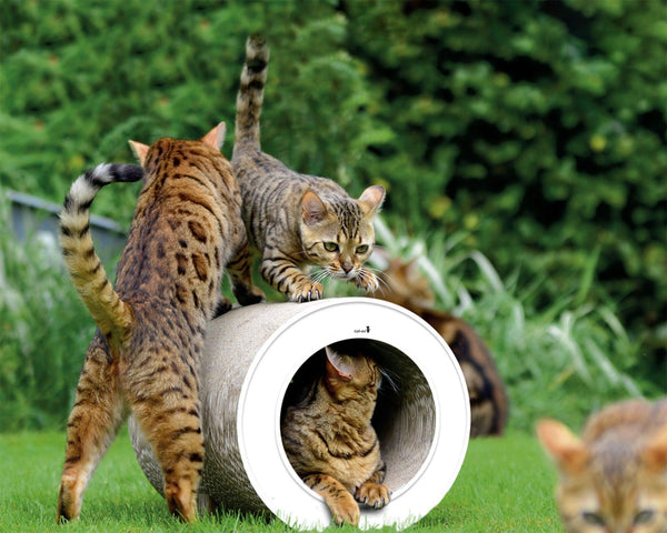 Tunnel griffoir original pour chat en carton grâce à sa forme en tube blanc - kasibe