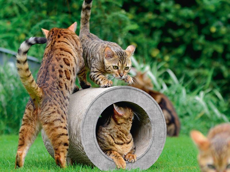 Tunnel griffoir original pour chat en carton grâce à sa forme en tube gris - kasibe