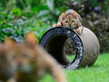 Tunnel griffoir original pour chat en carton grâce à sa forme en tube - kasibe