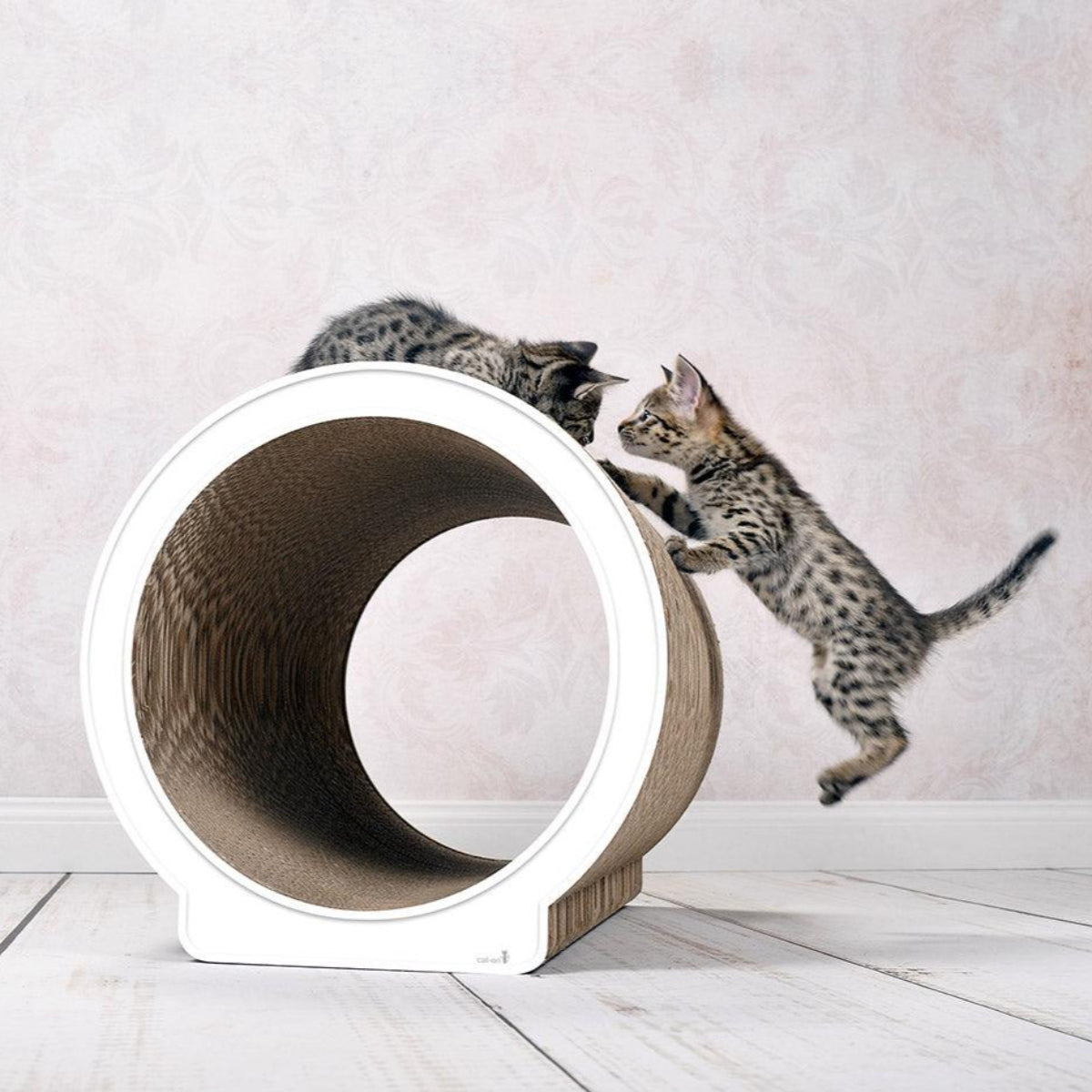 Un griffoir pour chat design : Le Rond, un meuble maison en carton kasibe blanc liseré