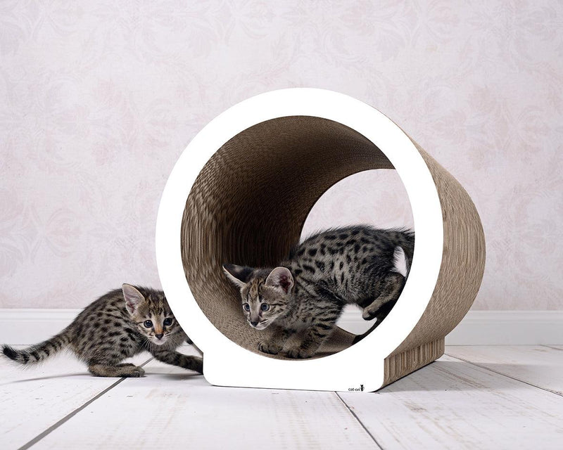 Un griffoir pour chat design: Le Rond, un meuble maison en carton kasibe blanc