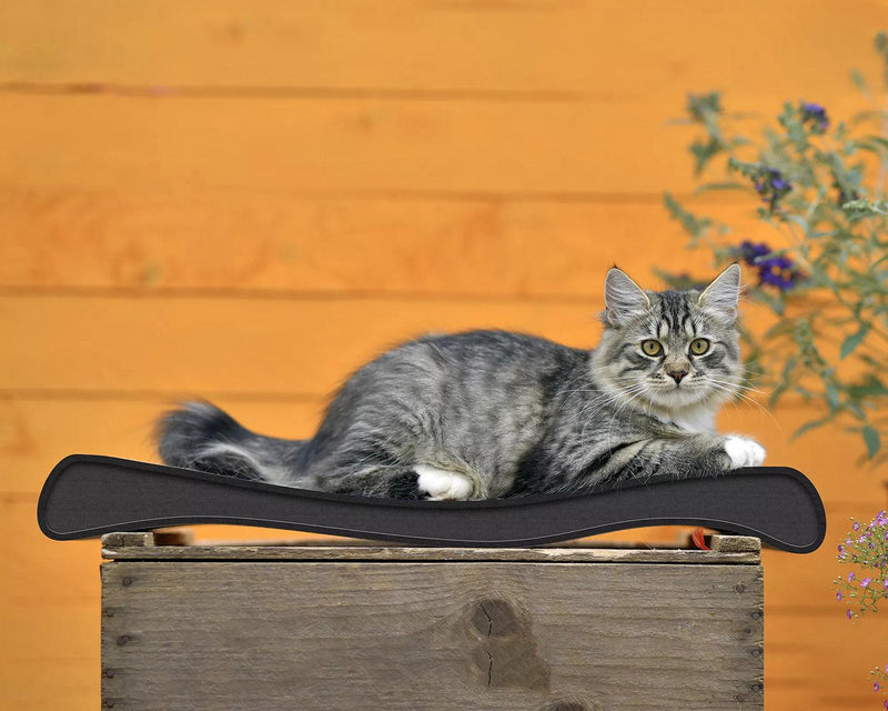 Ola, un griffoir vague pour chat à la forme ergonomique anthracite - kasibe