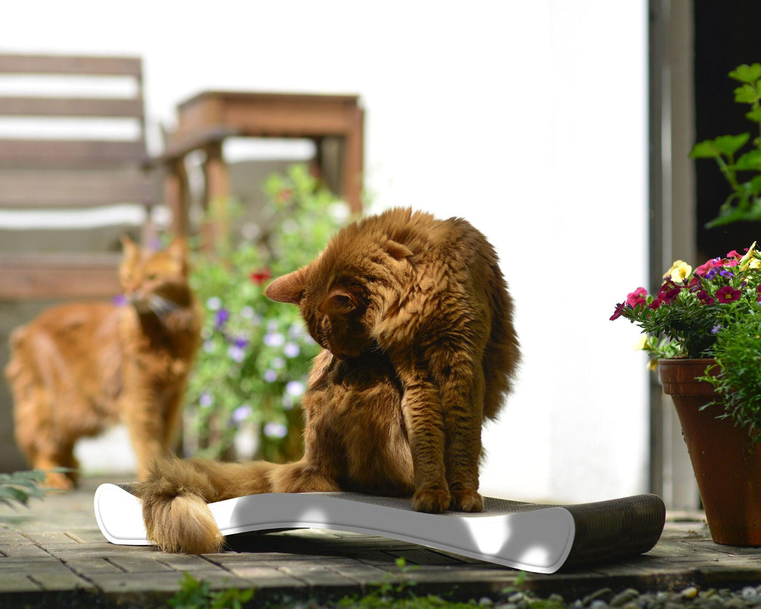 Ola, un griffoir vague pour chat à la forme ergonomique blanc liseré - kasibe