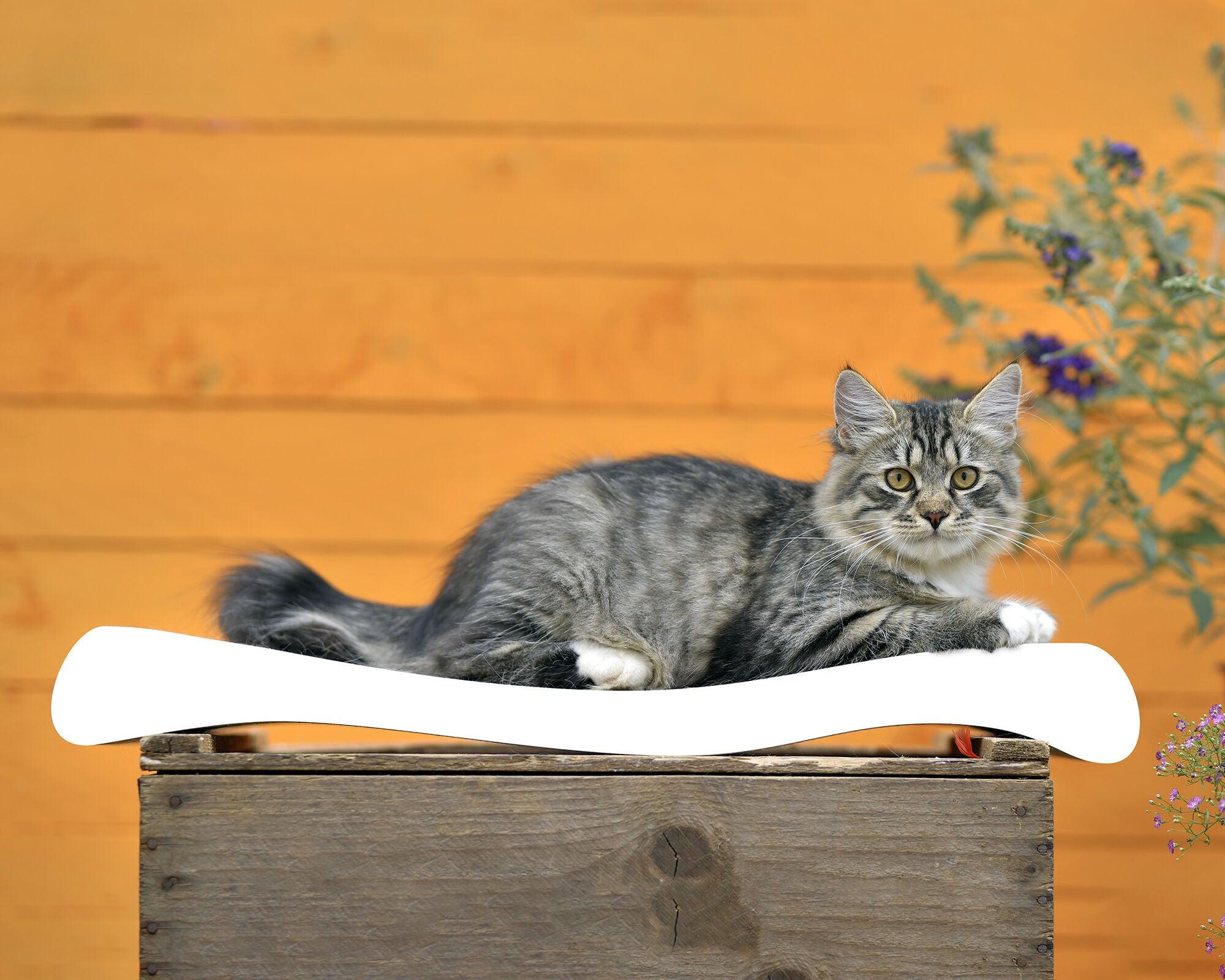 Ola, un griffoir vague pour chat à la forme ergonomique blanc - kasibe
