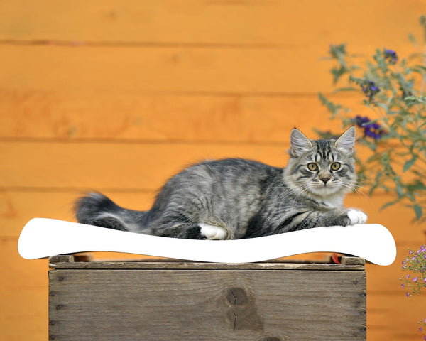 Ola, un griffoir vague pour chat à la forme ergonomique blanc - kasibe