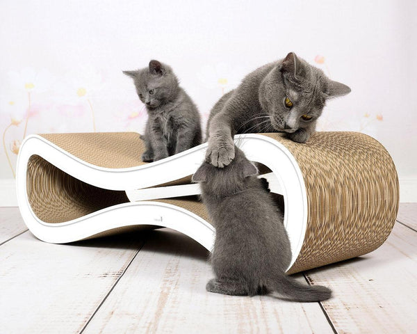 Griffoir pour chat en carton, ludique et écologique Cat Racer blanc liseré - kasibe