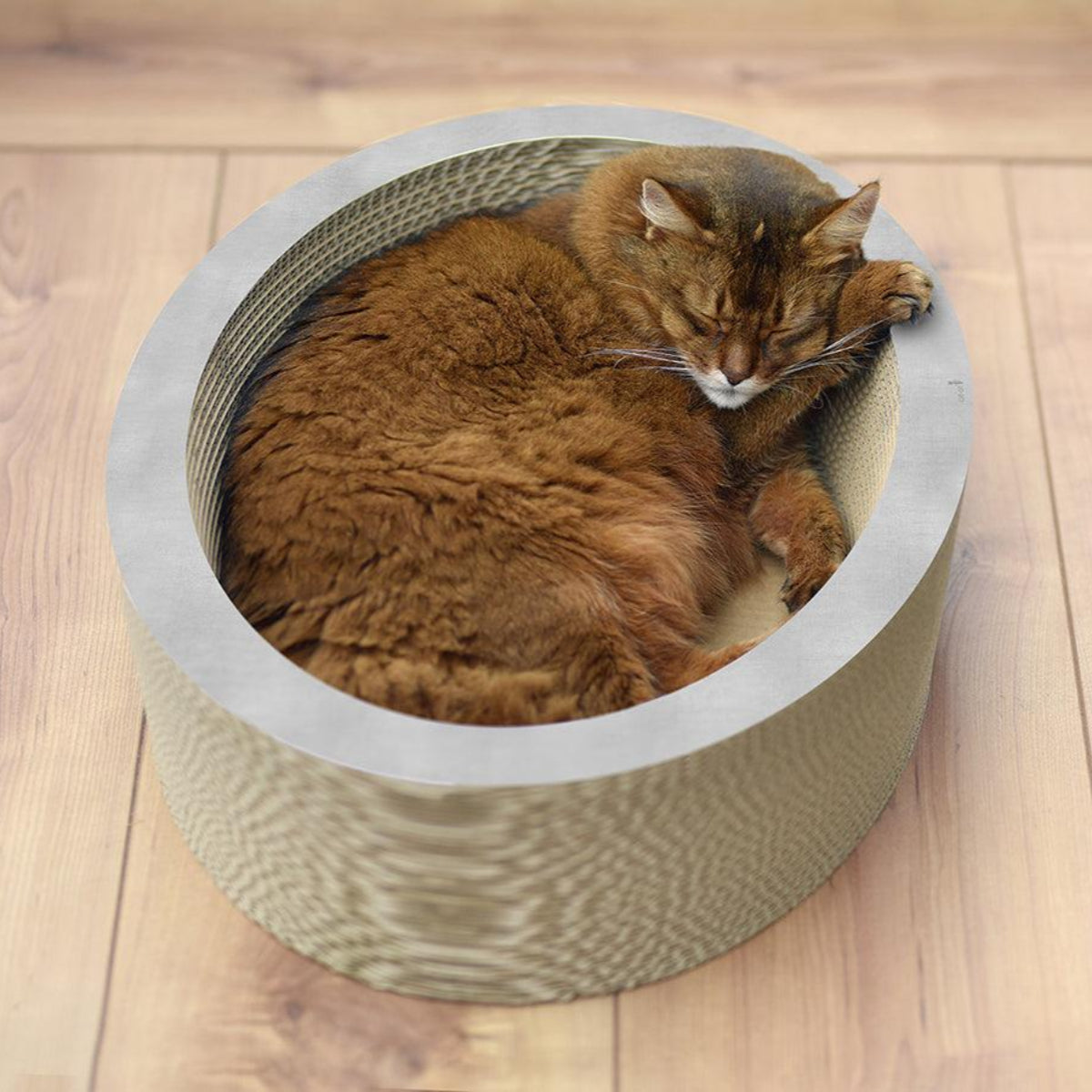 Griffoir panier pour chat en carton Lovale : original et écologique gris - kasibe