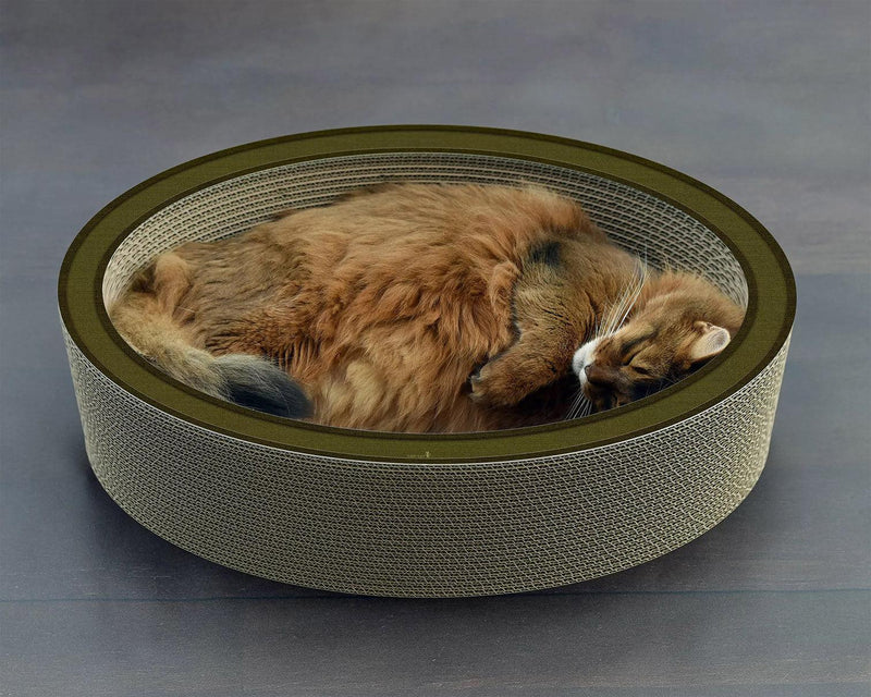 Griffoir panier pour chat en carton Lovale : original et écologique vert - kasibe