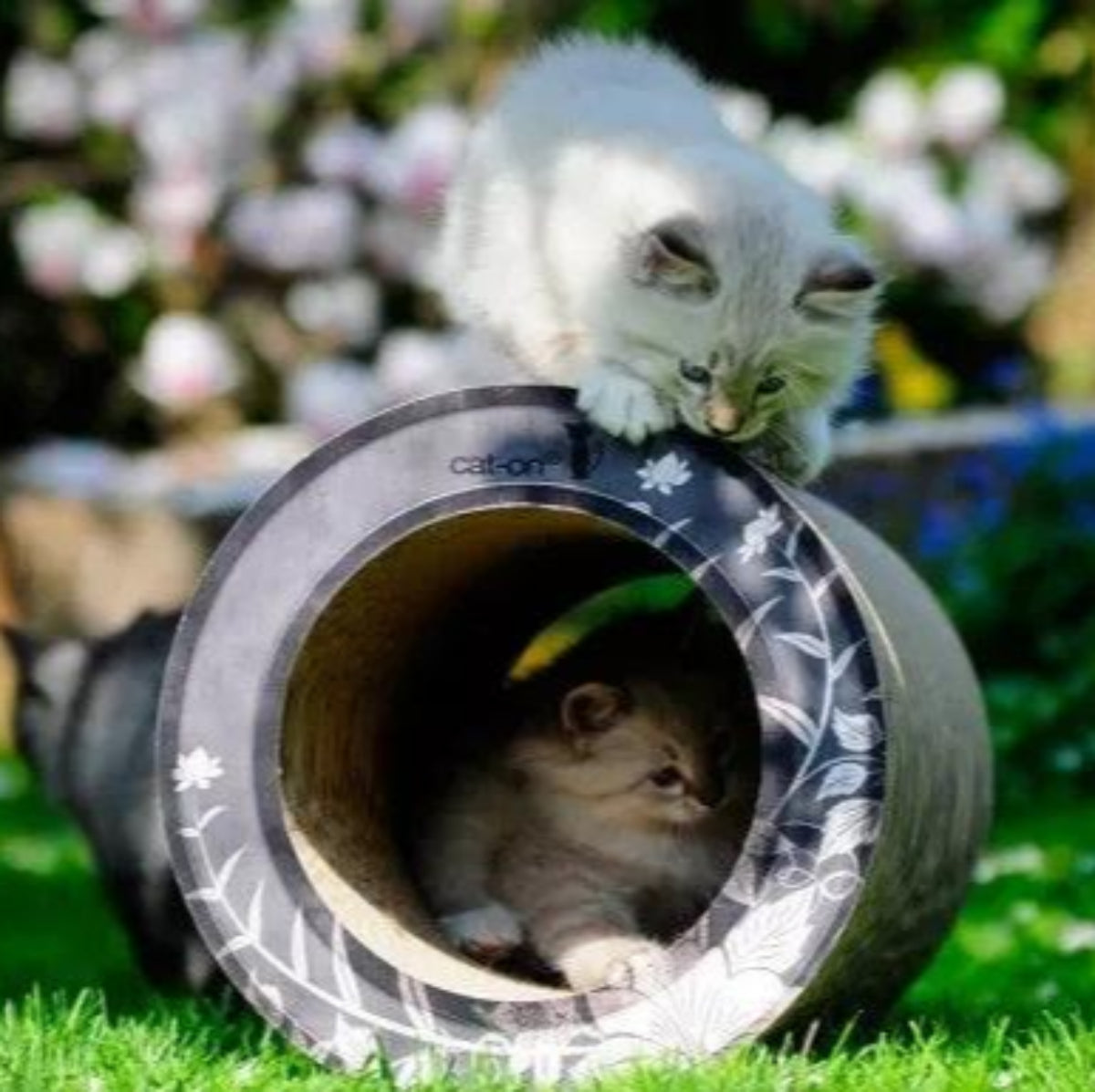 Tunnel griffoir original pour chat en carton grâce à sa forme en tube - kasibe