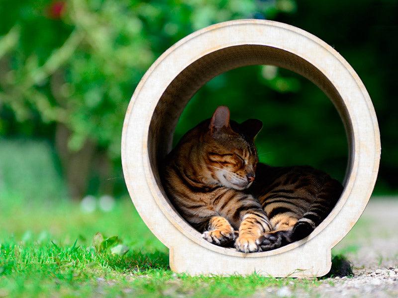 Un griffoir pour chat design: Le Rond, un meuble maison en carton kasibe 